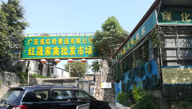 屠宰市場(chǎng)廢水處理方案