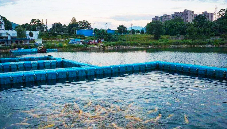 水產(chǎn)養(yǎng)殖廢水處理方案